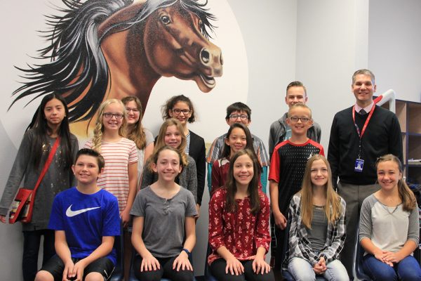 November 2017 Mustangs Of The Month
