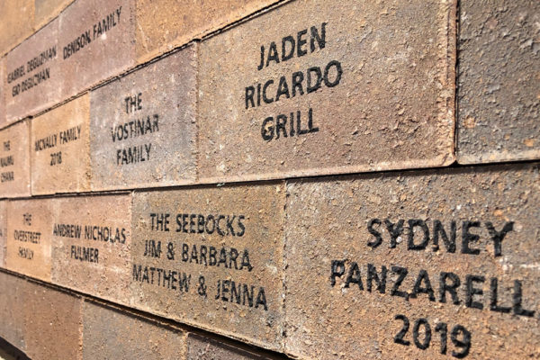 Engrave A Brick Progress - Jan 2019